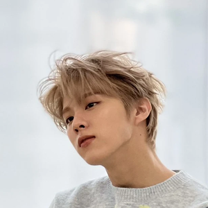 Wskfafa4 profile image
