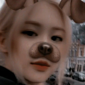 박채영집착광이 profile image