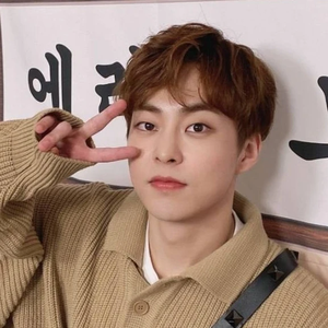 xiurenity profile image
