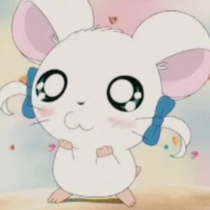 dolIseok profile image