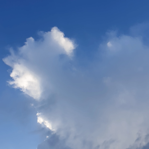 잡덕초보자까 profile image