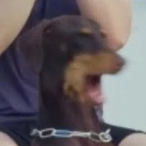 Juliane001 profile image