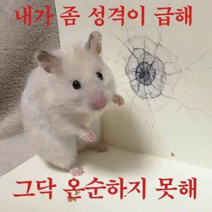 노온순 profile image