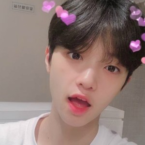 いぬ profile image