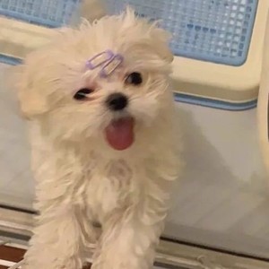 soda56 profile image