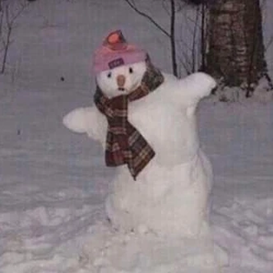 보니하니 profile image