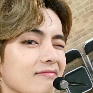 taesitos profile image