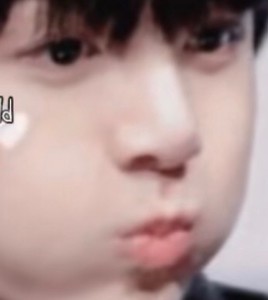 정쿠키바라기 profile image