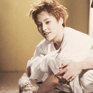 bollofeliz profile image