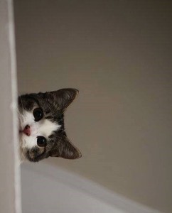 김여쭈 profile image