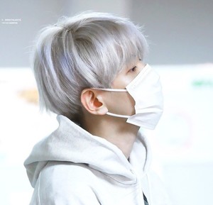 백고얌 profile image