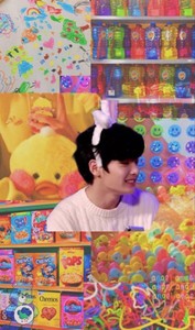 yangyangfoxie profile image