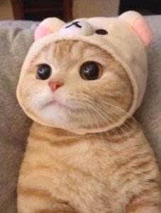 hynnyh profile image