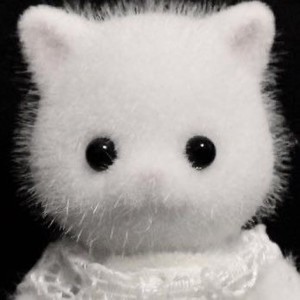 순정지구 profile image