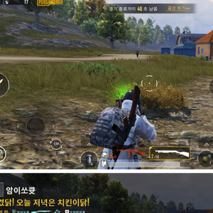 펄든 profile image