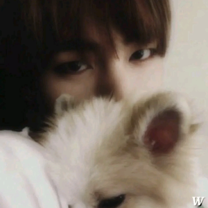 jiminowo³ profile image