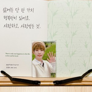 Lucyin겸아더월드 profile image