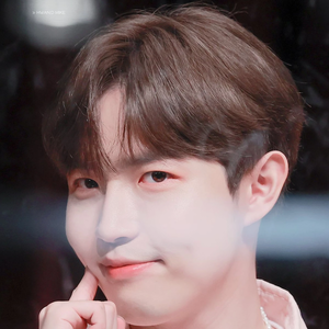 환둥이에오 profile image
