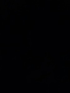 029f6da1ed2ad5dd56f88442adfa21ba profile image