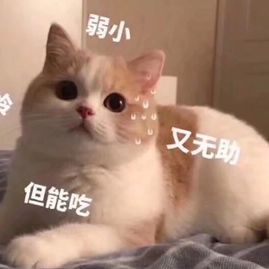 mahahaloey profile image