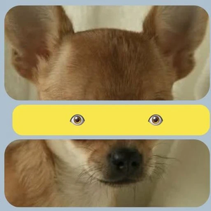 07승연 profile image