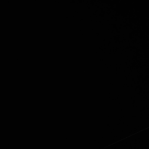 거북이06 profile image