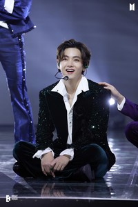 Cocodrila profile image