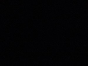 홀롤ㄹ profile image