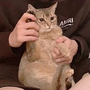 뤼미에르 profile image