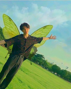 wipeacewi profile image