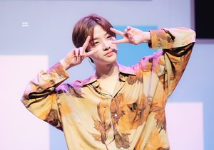 Nani7294 profile image