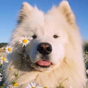 딸기메론 profile image