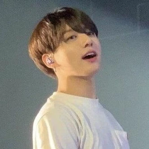 bolitarubiᵕ-ᵕ profile image