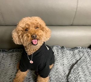 木咻M12 profile image