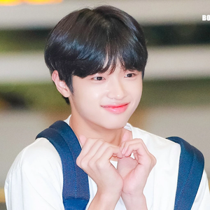 동표야표동아 profile image
