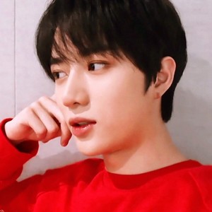 정앵두 profile image