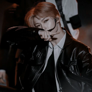 세타레-FELIX profile image