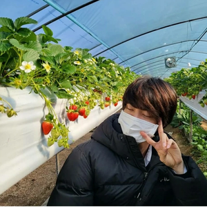 Junxin profile image