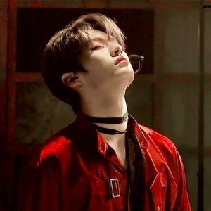 세타레-LEEKNOW profile image