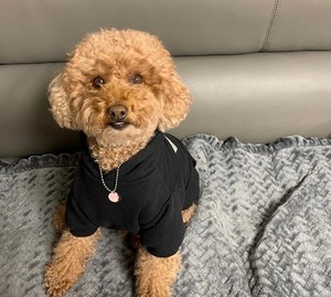 木咻M4 profile image