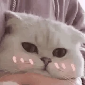 七崎 profile image