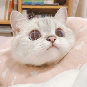 선우리하 profile image