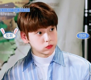 머린내리최수빈최연준최범규강태현휴닝카이 profile image