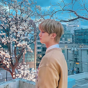 irisella profile image