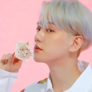 边宝宝吃炒年糕 profile image