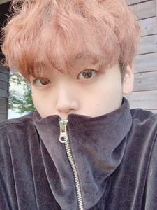 쪼푸쭌 profile image