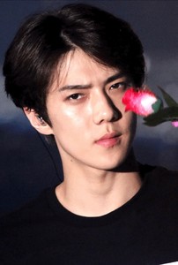 wuliSeHun profile image