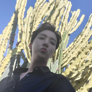 Hobimiflacosipor profile image