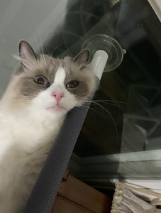 하얀고양이겨울 profile image