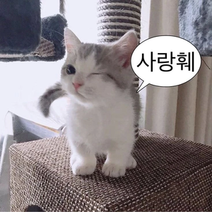 9ab3faf7c03a09a39e196c4364476d5a profile image